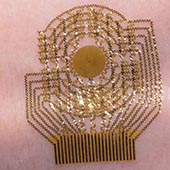A wearable sensor that conforms to the skin