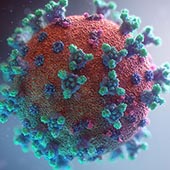 Image depicting the coronavirus
