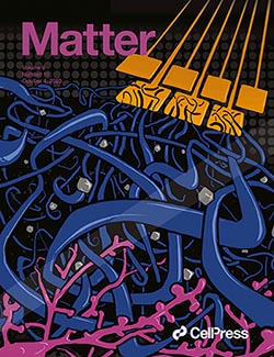 Matter journal cover
