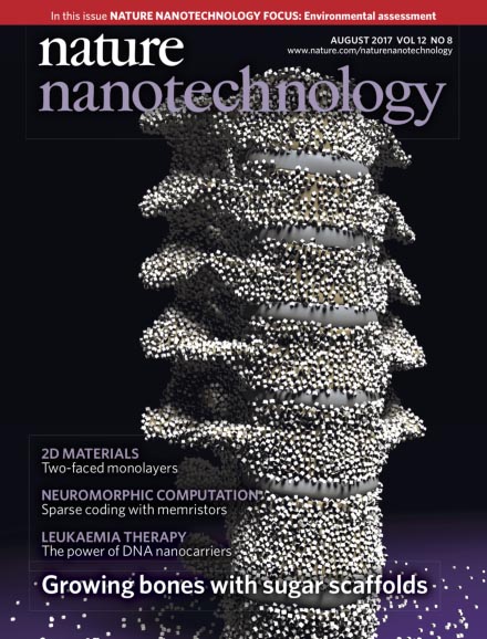 nature-nanotech-cover-440w.jpg