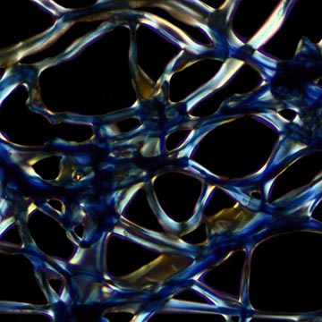 Electroactive biomaterials image