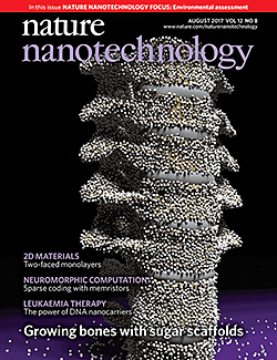 Nature Nanotechnology journal cover
